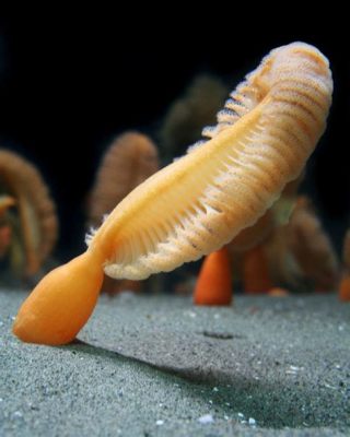  Sea Pen!  A Mesmerizing Colonial Cnidarian That Thrives Beneath the Waves